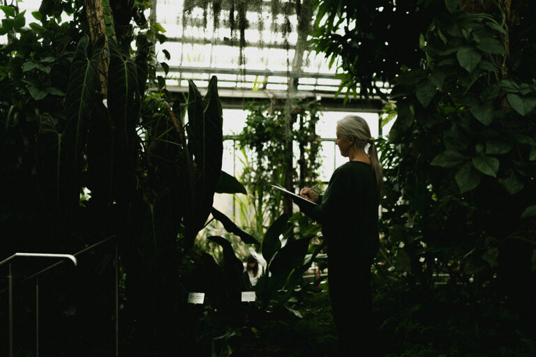 Botanischer Garten Innsbruck