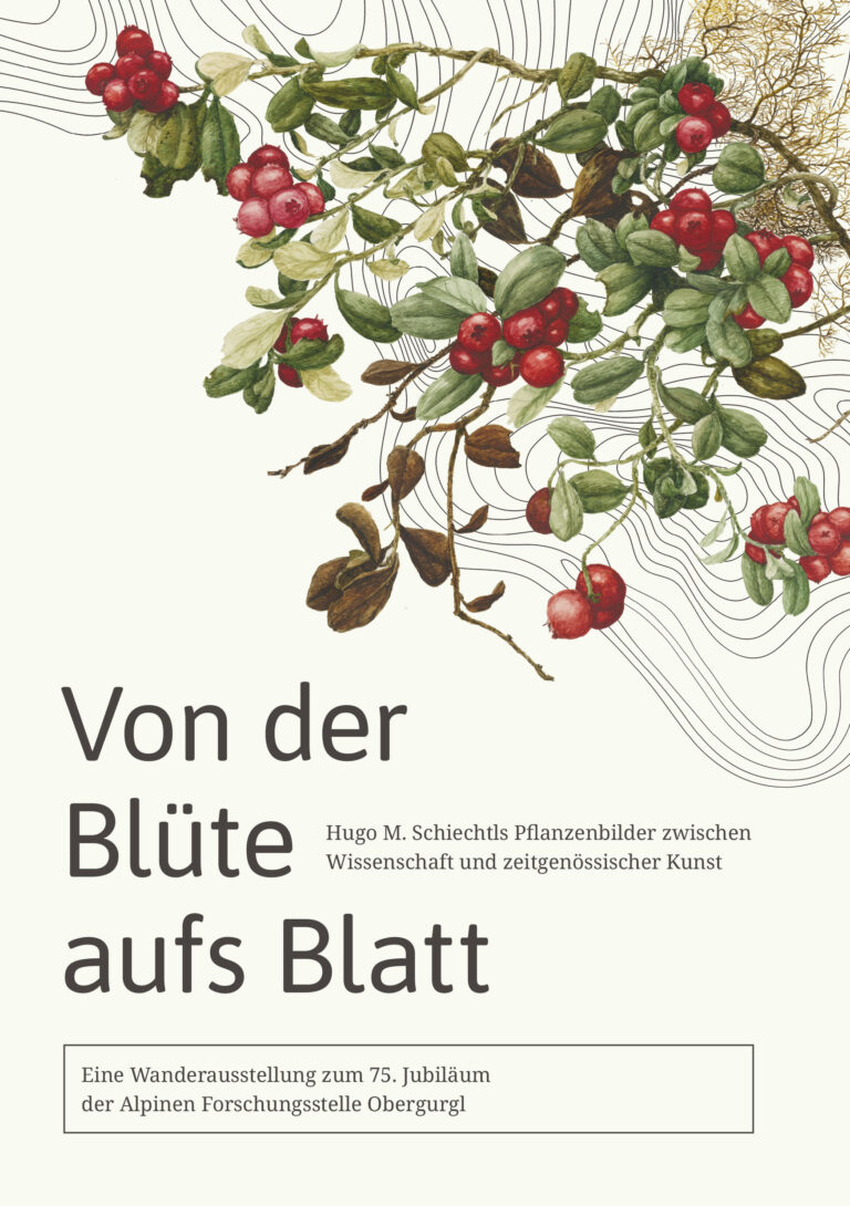 Universität Innsbruck